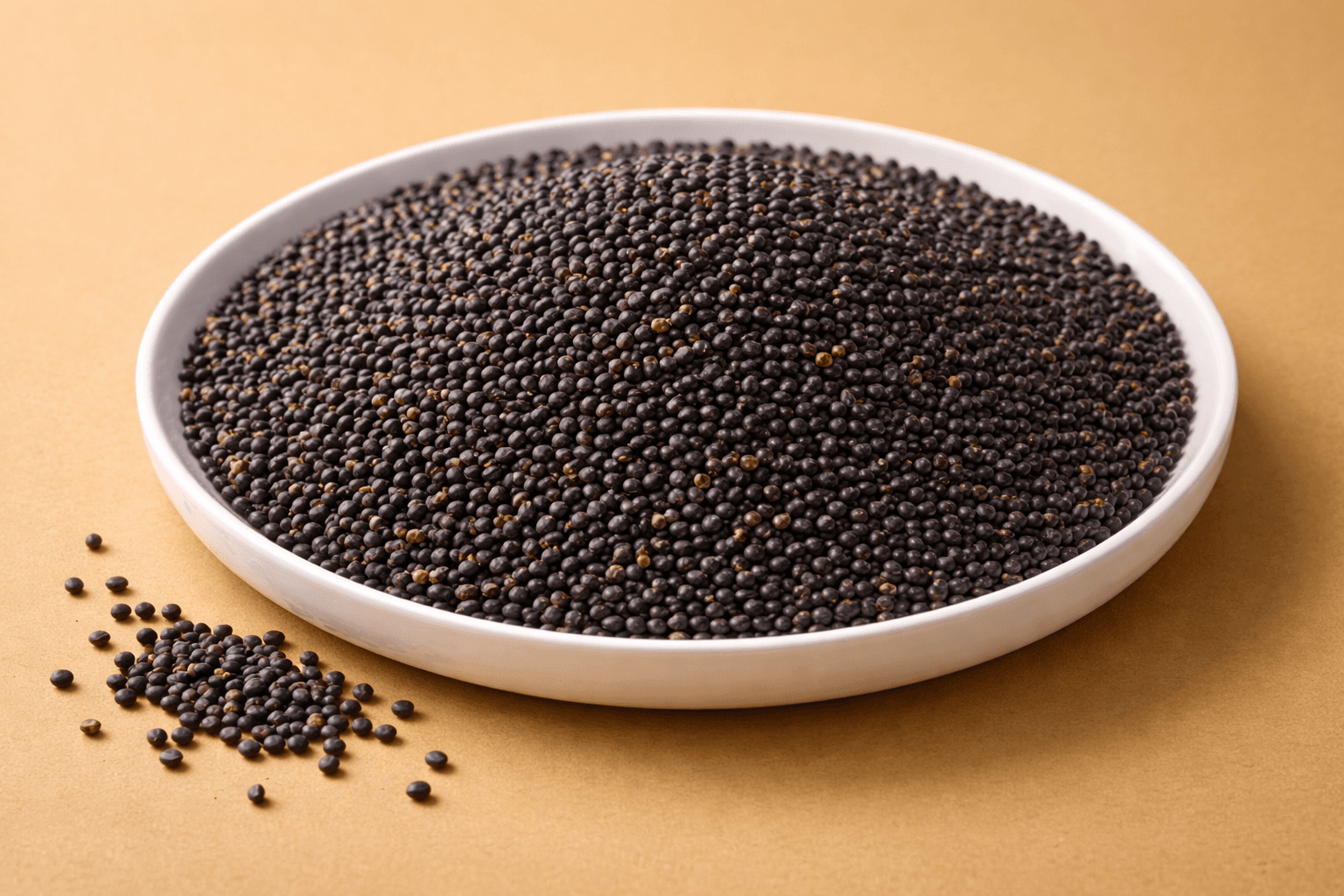 Canola Seed
